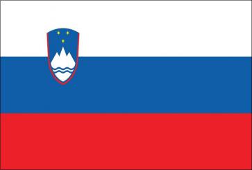 Slovenia, National Contact Point to the EMN