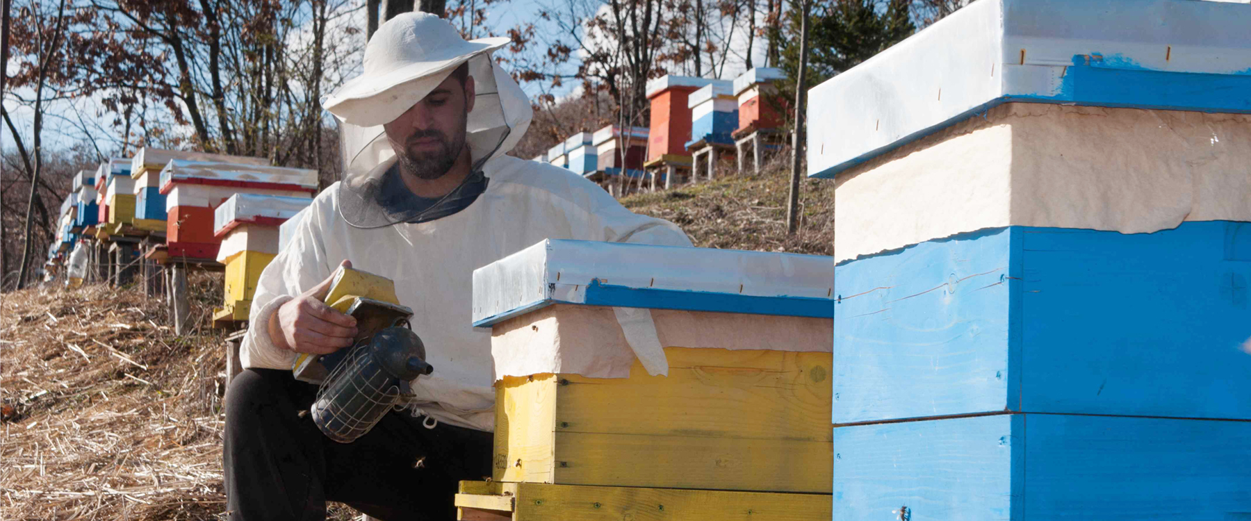 Gëzim Gjuri bij zijn bijenbedrijf in Kosovo. Gjuri keerde vrijwillig terug in 2012.| Foto: IOM, 2015