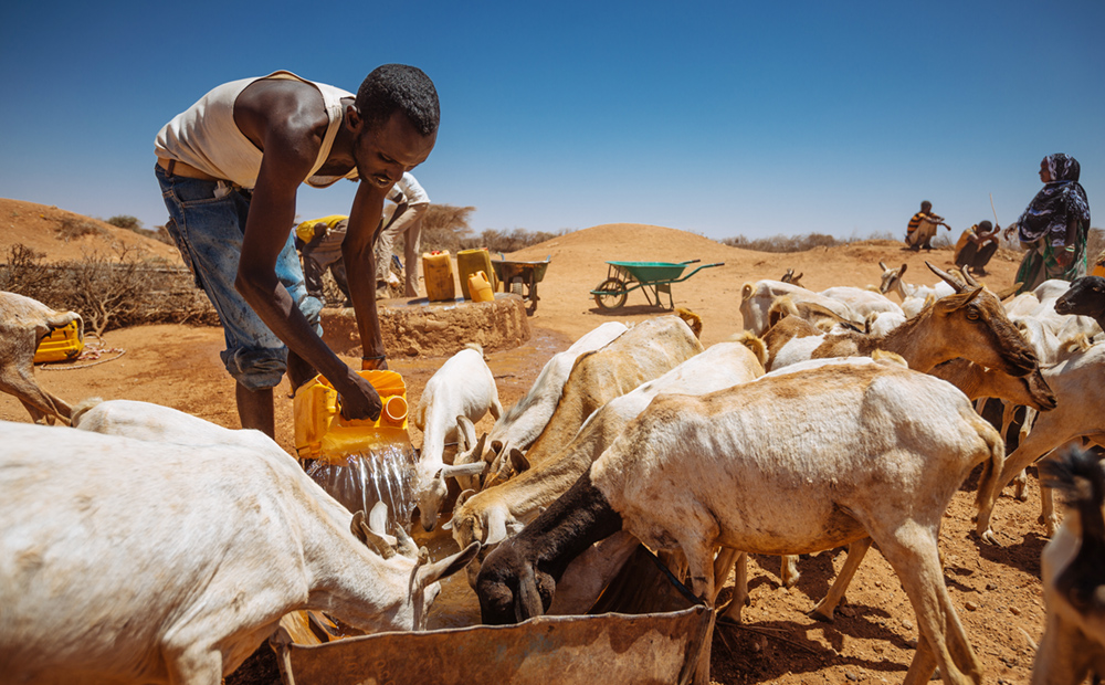 Verwoestende droogte in Somalië waardoor ruim 600.000 mensen zijn ontheemd. Foto: Internationale Organisatie voor Migratie, 2017