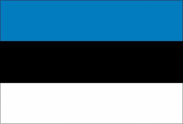 Estonia, National Contact Point to the EMN